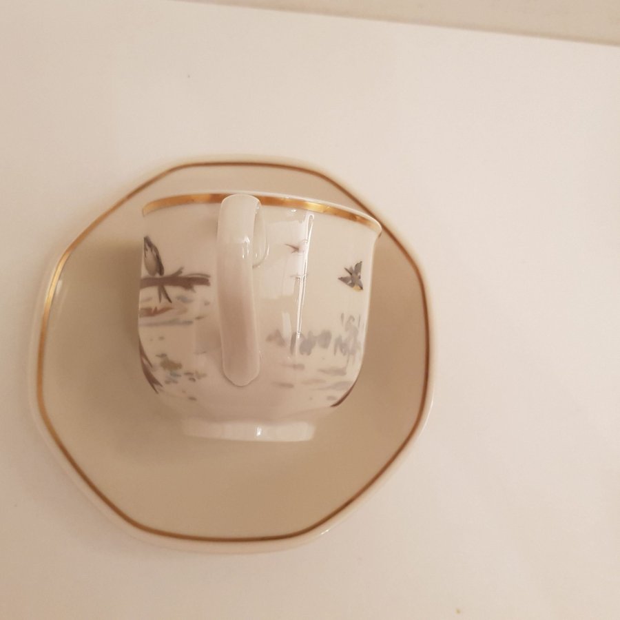 Heinrich Tyskland Villeroy  Boch Set med 1 tekopp/Kaffekopp med fat