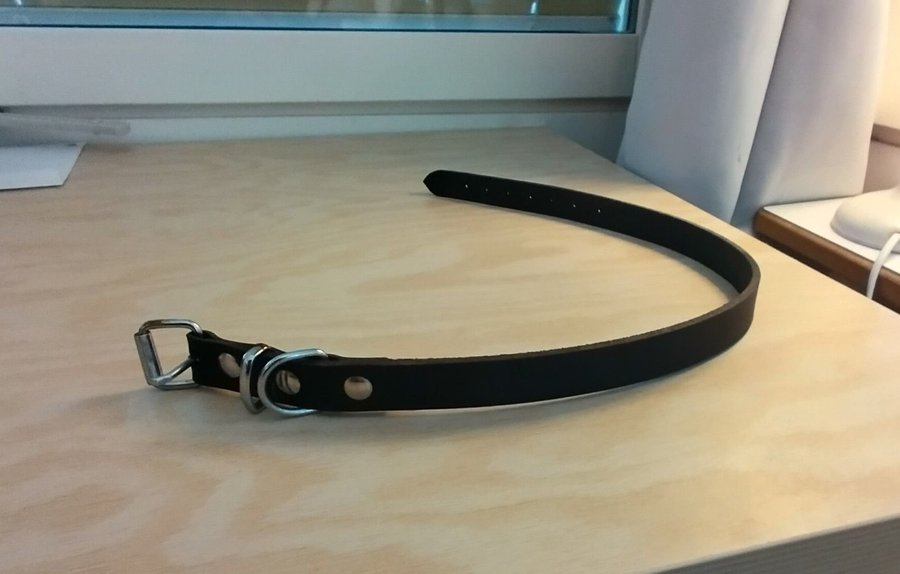 Hundhalsband i läder 55cm