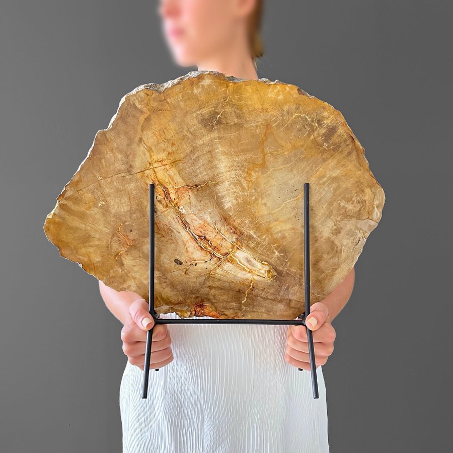 Förstenat fossilt trä 40 cm x 46 cm inklusive stativ av metall 20-23 miljoner år