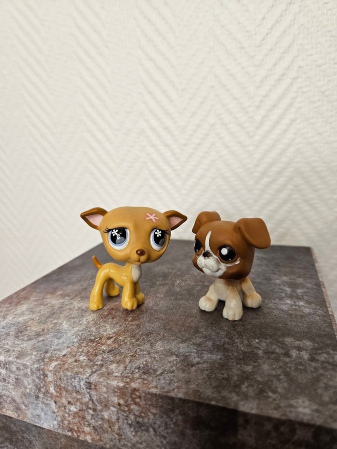 Littlest pet shop - 2 hundar