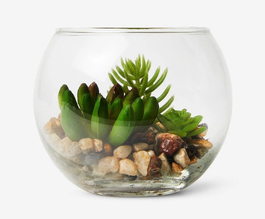 Stor glasskål kupa med slipad kant akvarium pyssel terrarium