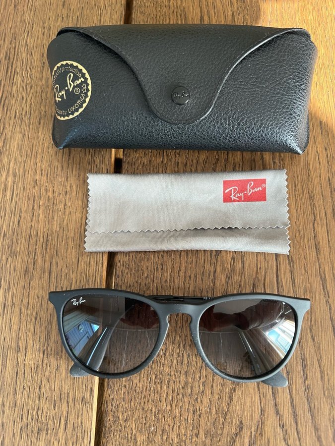 Ray-Ban Erika Solglasögon