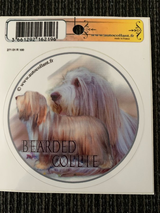 Rund klisterdekal - Bearded collie