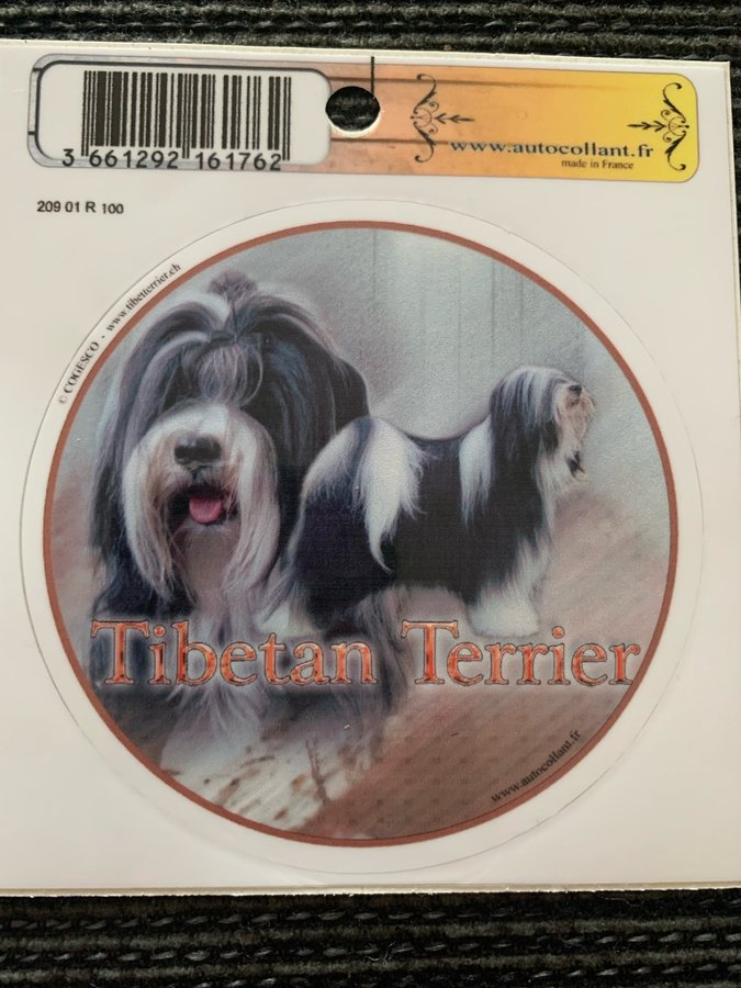 Rund klisterdekal - Tibetansk terrier