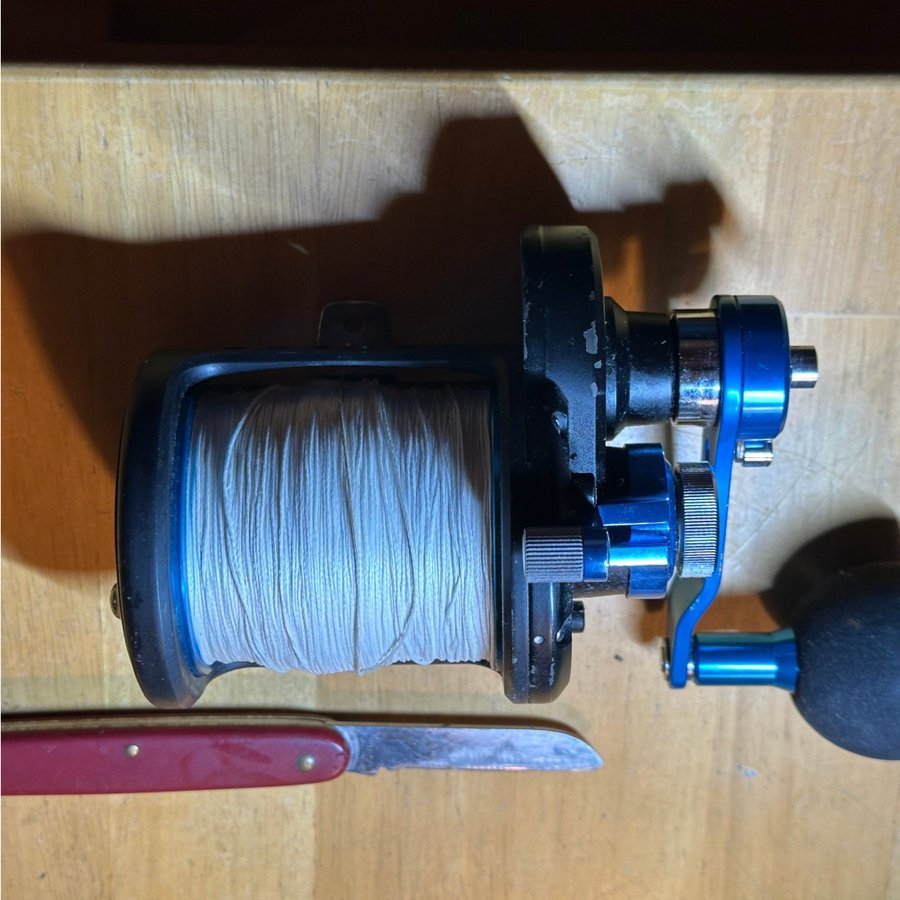 DAIWA LD50 SALTY