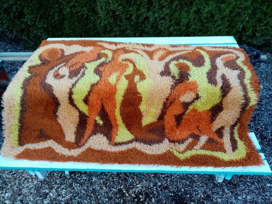 Vintage Shag Rya Rug Girls