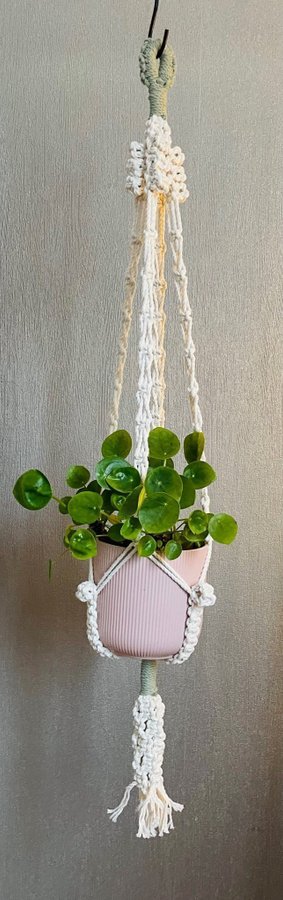 Ampel i makramé /plant hanger