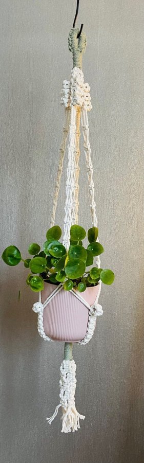 Ampel i makramé /plant hanger