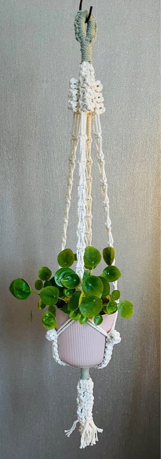 Ampel i makramé /plant hanger