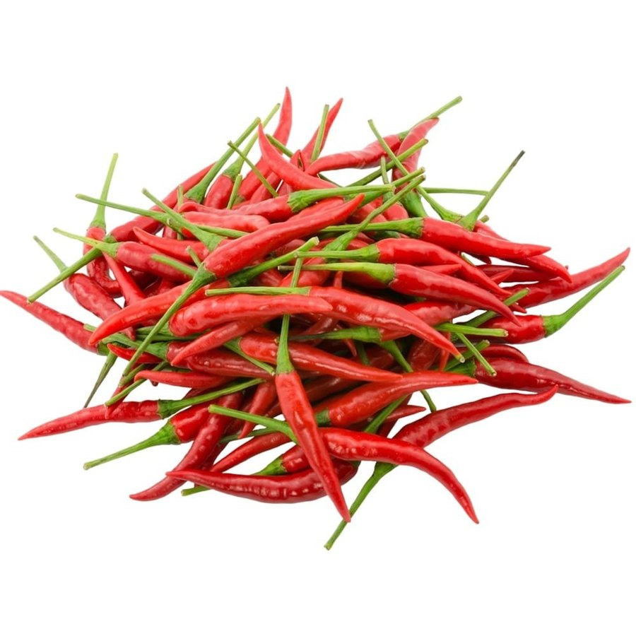 Thai Chili, 10 frön