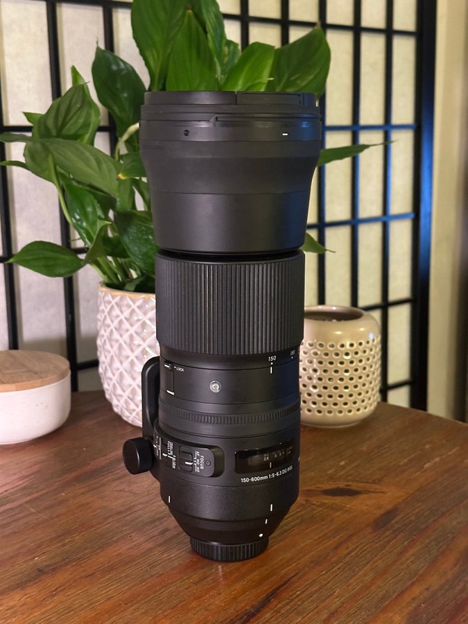 Sigma 150-600 mm | F5-6.3 DG DN OS