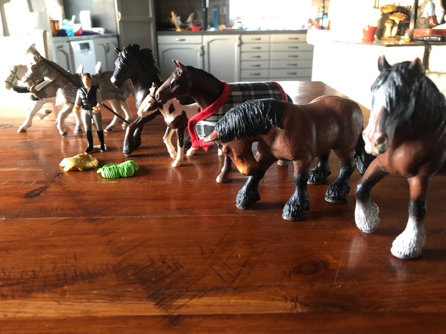 Schleich Hästar