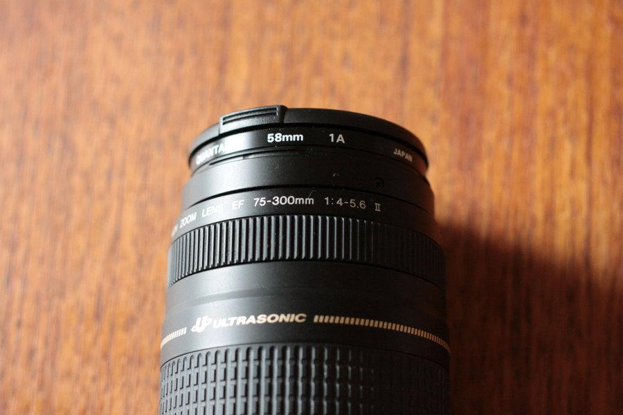 Canon EF 75-300mm 1:4-5.6 II Ultrasonic