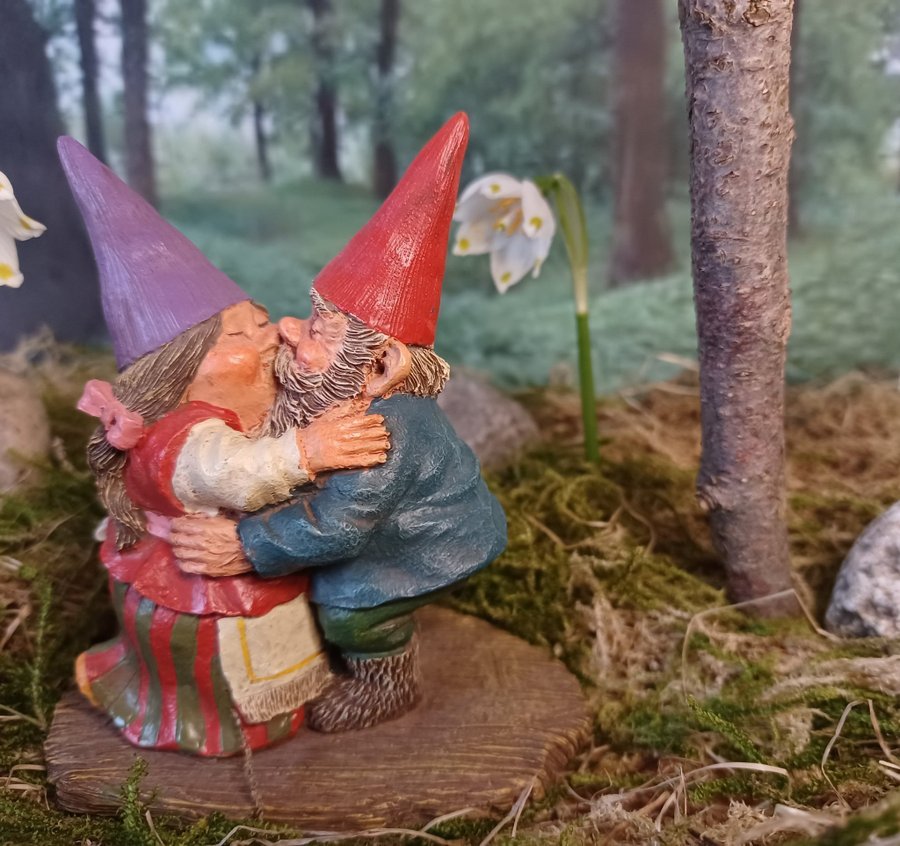 Gnomes Tomtar Rien Poortvliet