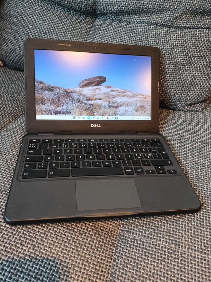 DELL Chromebook 3100