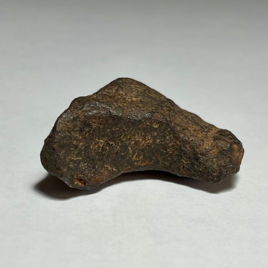 Vacker järnmeteorit - Mundrabilla - Iron IAB-ung - 45g