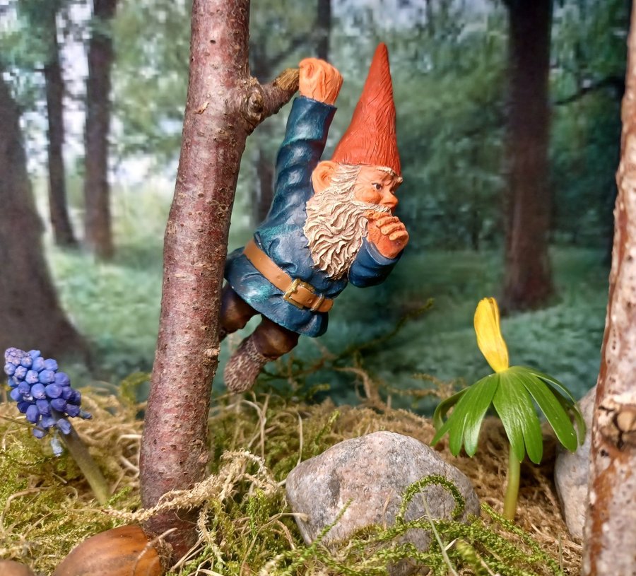 Gnomes, Tomtar, Rien Poortvliet