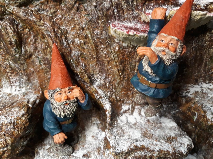 Gnomes, Tomtar, Rien Poortvliet