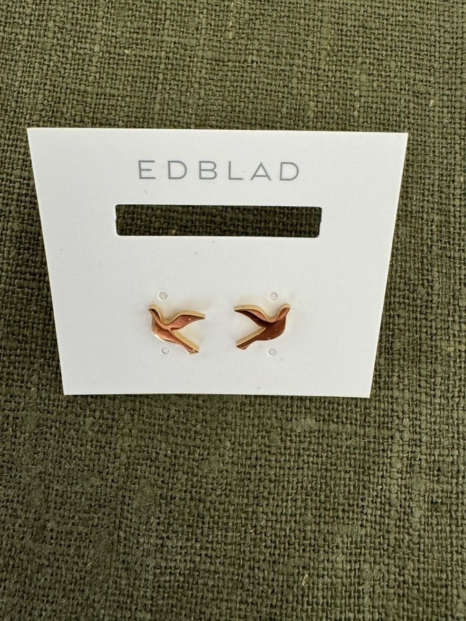 Örhänge Dove Studs Gold från Edblad