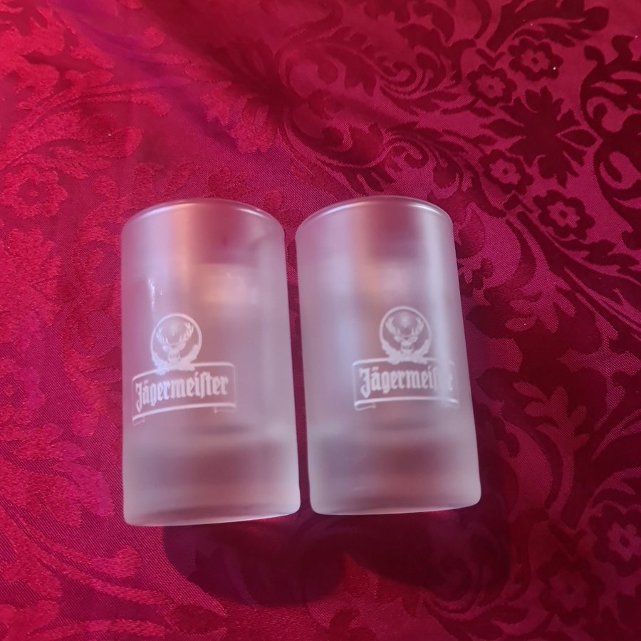 Jägermeister Shotglas I frostat.glas