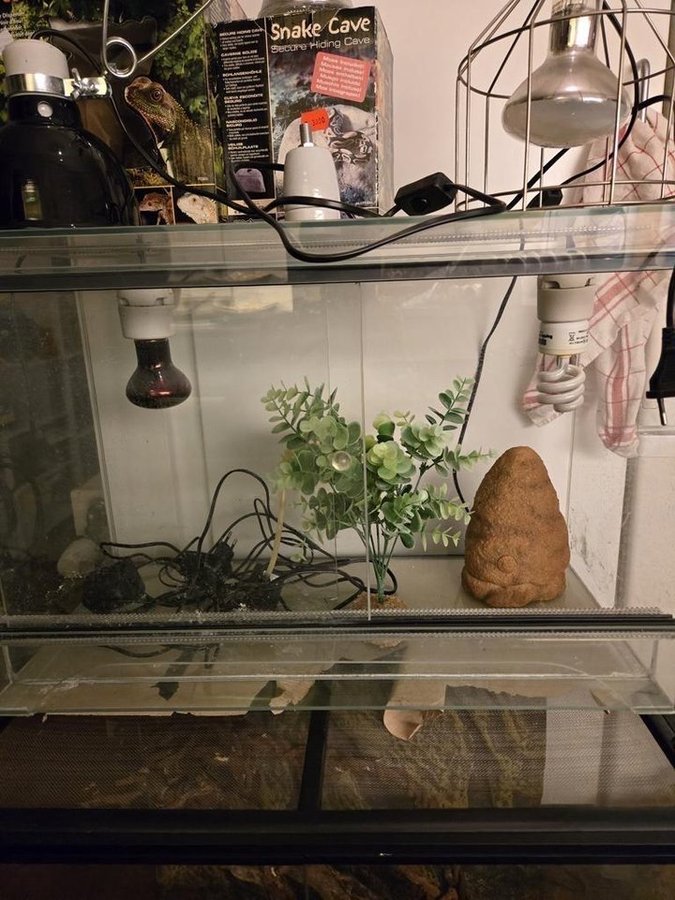 Terrarium med tillbehör