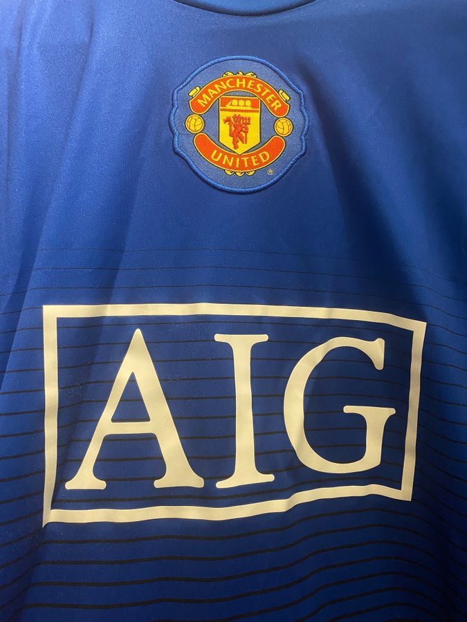 2010-11 Manchester United Nike Training Shirt (strl L)