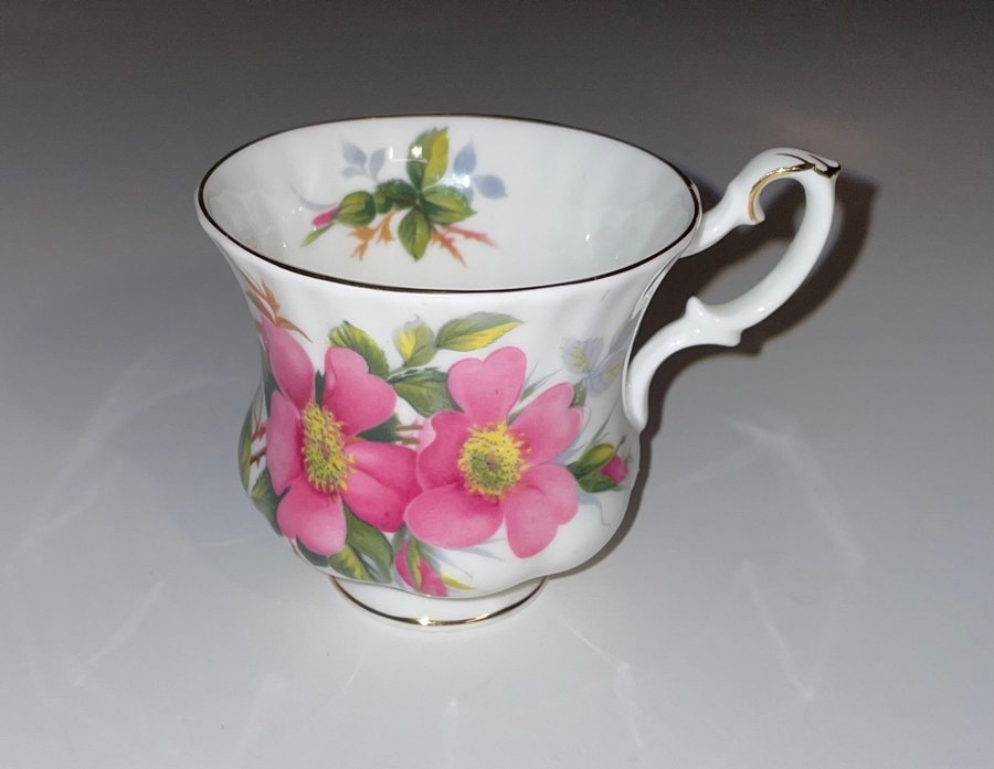 Royal Albert tekopp Prairie Rose Bone china