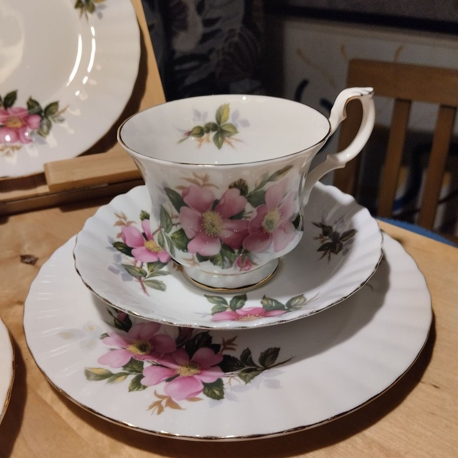 Royal Albert Prairie Rose, koppar med fat och assietter