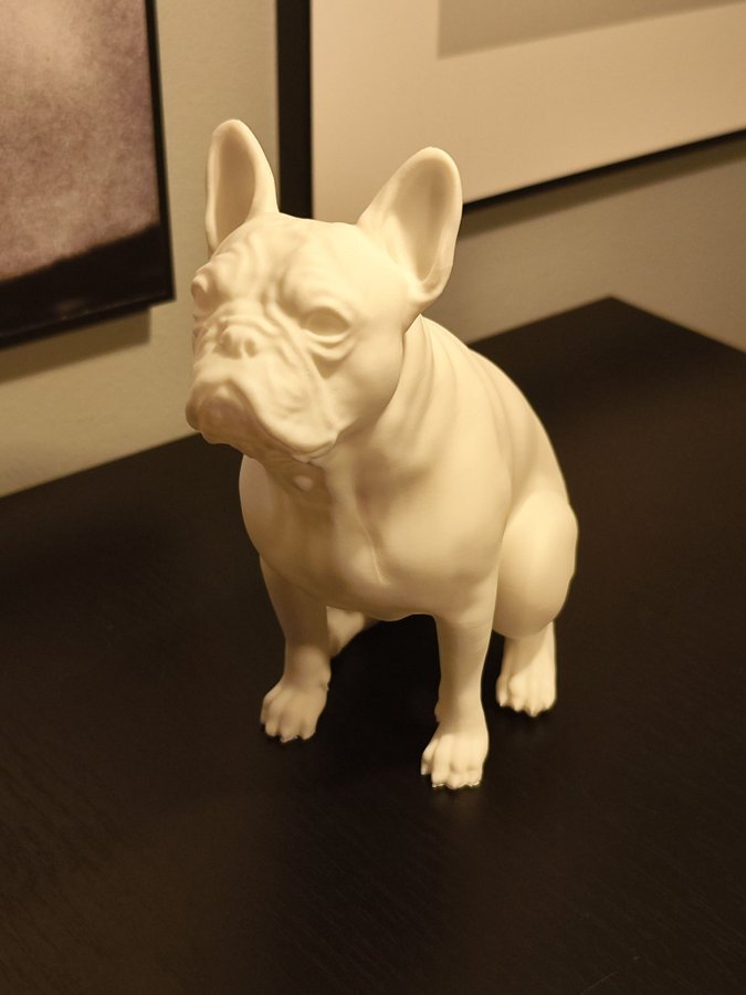 Fransk Bulldog Staty Vit