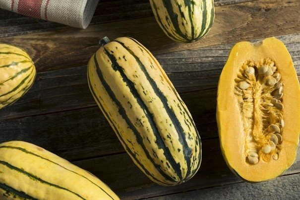 Squash Delicata, frukt 18-25 cm lång, mycket god, 4 frön