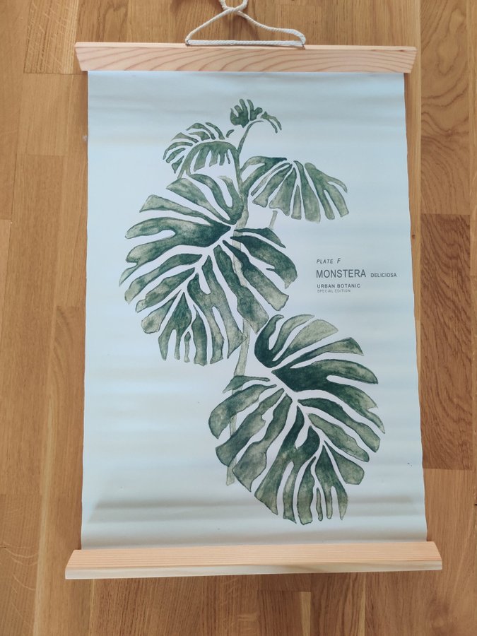 Urban Botanic Prints