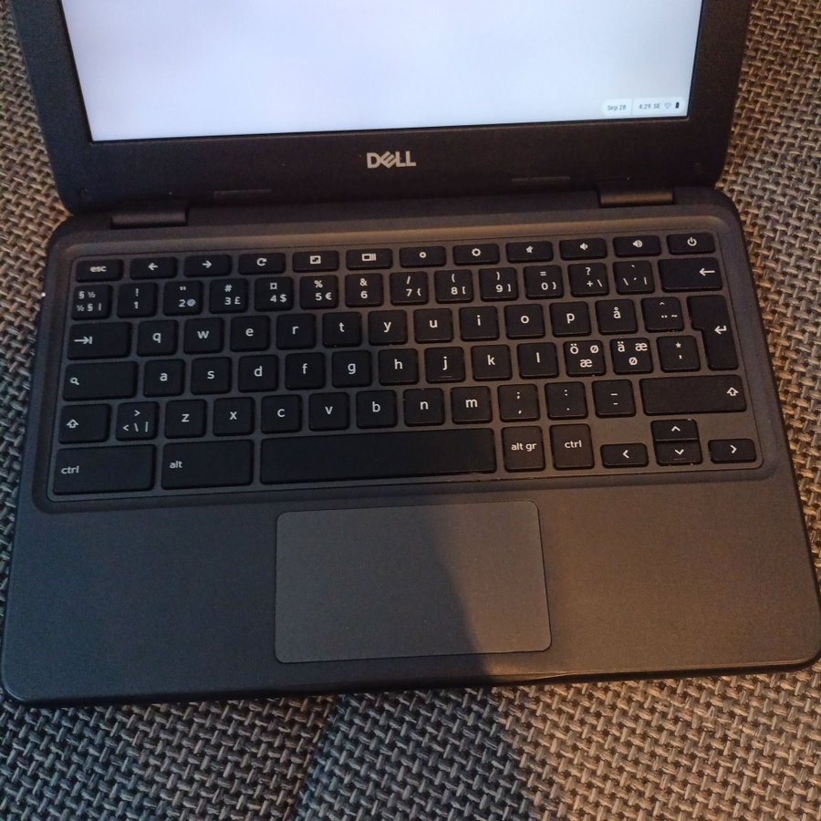 DELL Chromebook 3100