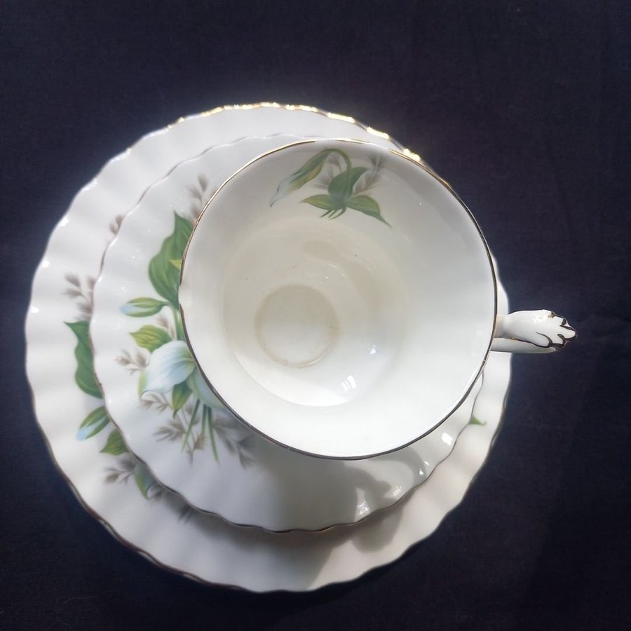 ROYAL ALBERT TRILLIUM Bone China England