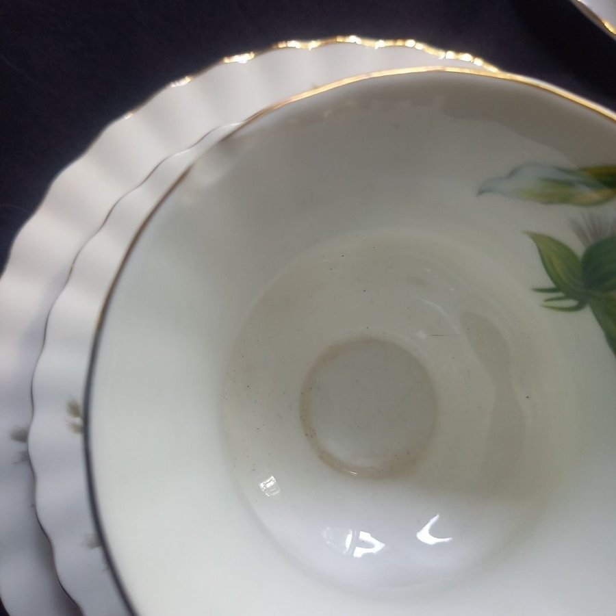 ROYAL ALBERT TRILLIUM Bone China England