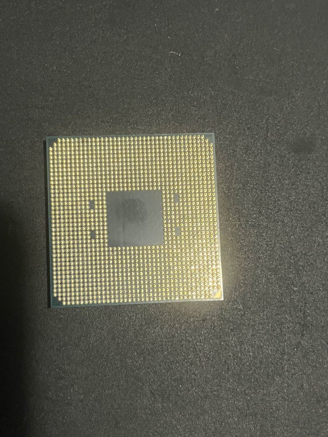 AMD Ryzen 5 5600