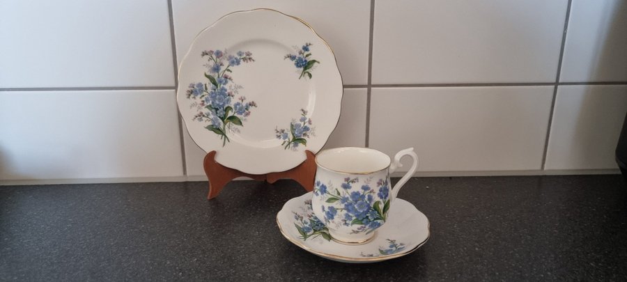 KAFFESERVIS SET FORGET-ME-NOT ROYAL ALBERT BONE CHINA/ENGLAND