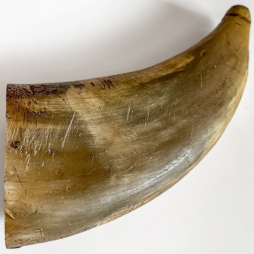 Antikt kruthorn av ben med initialerna JPN i locket powder horn