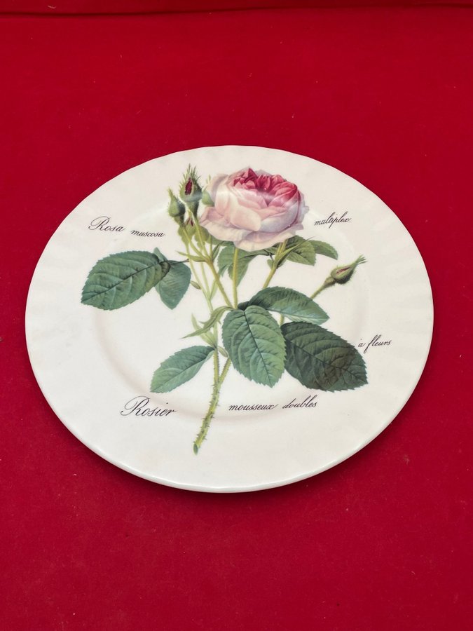 1 fat tallrik Roy Kirkham Redoute Roses 27,5 cm FINT SKICK