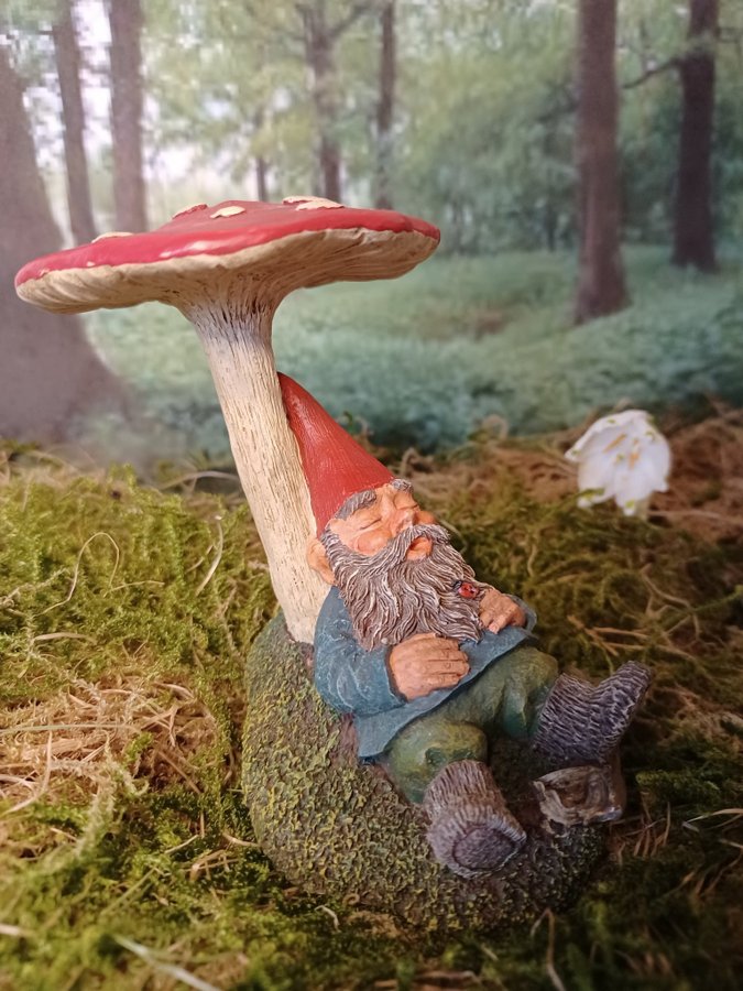 Gnomes, Tomtar, Rien Poortvliet