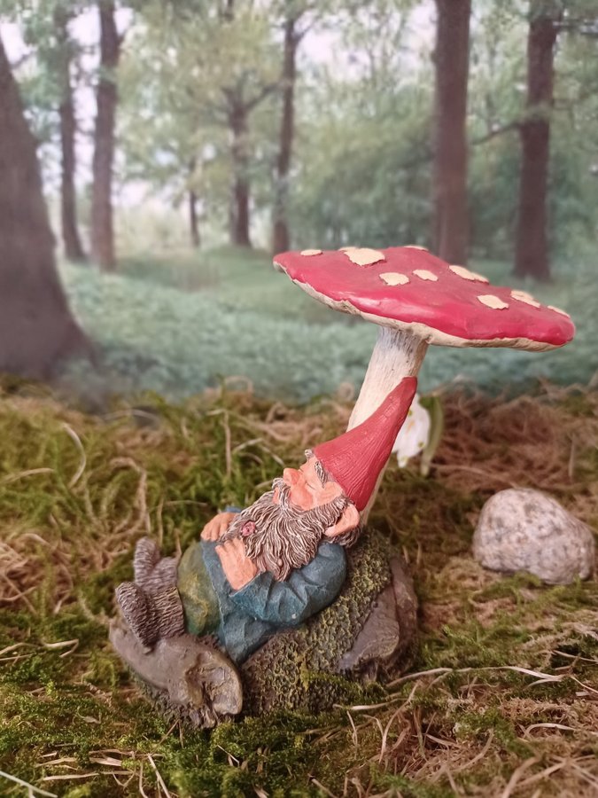 Gnomes, Tomtar, Rien Poortvliet