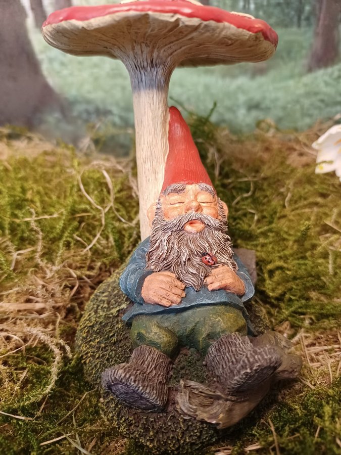 Gnomes, Tomtar, Rien Poortvliet