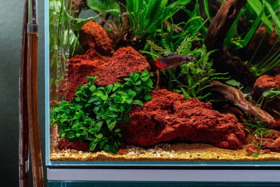 Lavastenar 500 g - Röda till akvarium - Aquarium