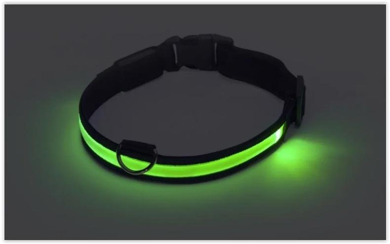 Hundhalsband med LED-lampa - Ledsavers - Storlek Large *NYTT* *SNABB FRAKT*