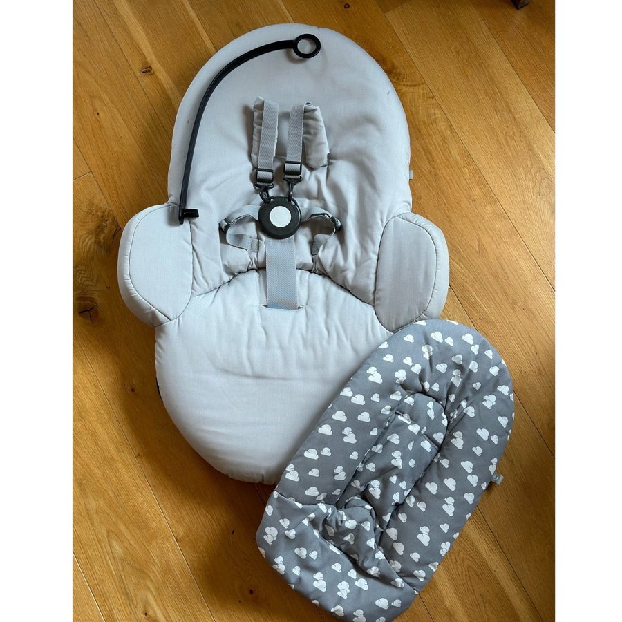 Stokke Steps Newborn Babysitter Bouncer.