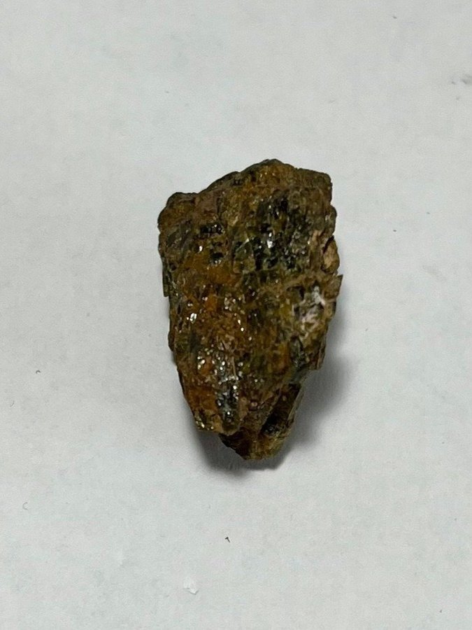 Fin meteorit - Diogenite Northwest Africa 7831 - 8.7g