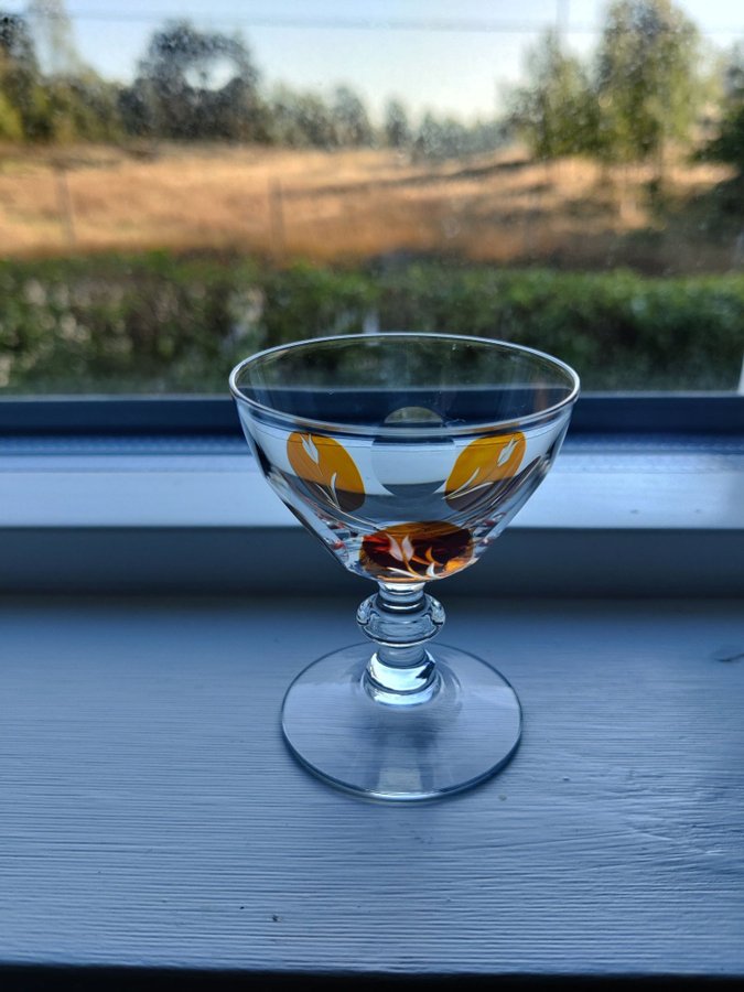 5-Stycken-Helt-Bedårande - Likörglas-Retro