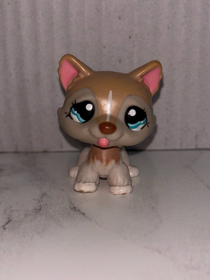 Littlest Pet Shop Husky #1012 LPS