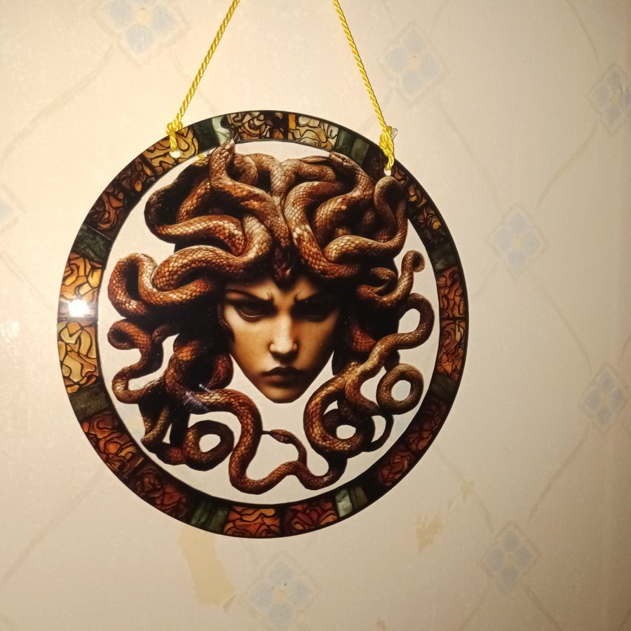 Medusa Solfångare