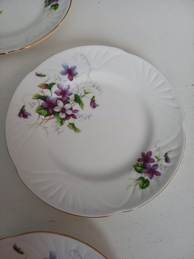 Vackra ASSIETTER 6 st CROWN Staffordshire Fine Bone China