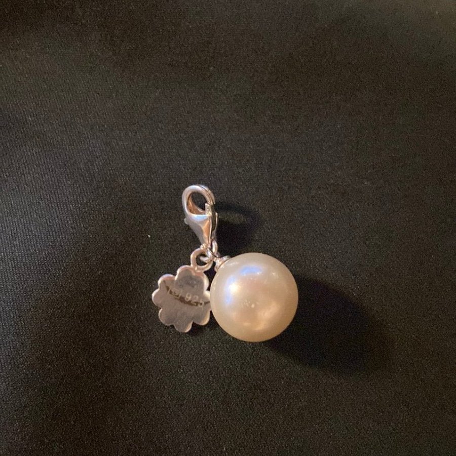 Thomas Sabo charm